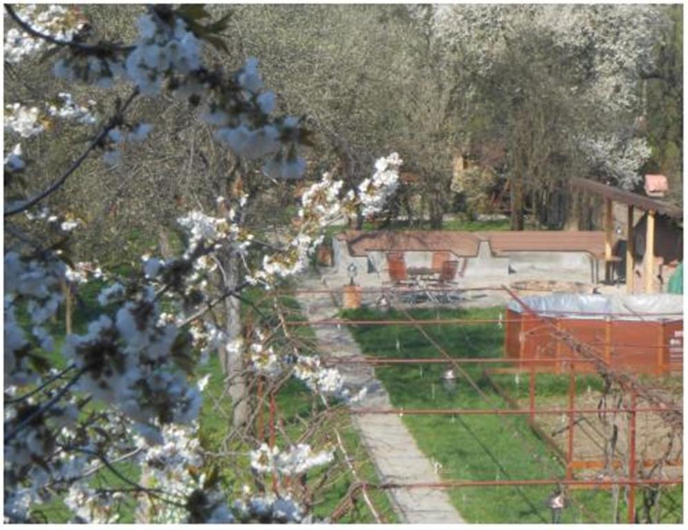 Pensiunea Pentru Tine Prietene Arcani Zimmer foto